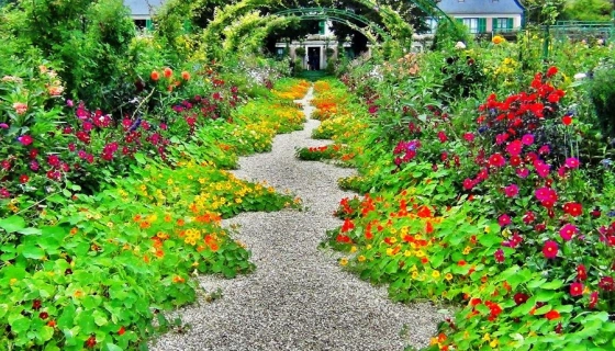 Сад и его убранство