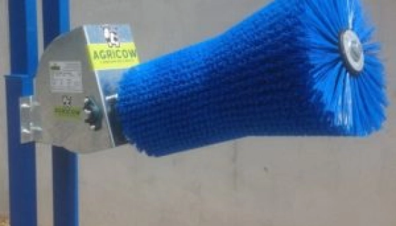 Выбор чесалки для коров