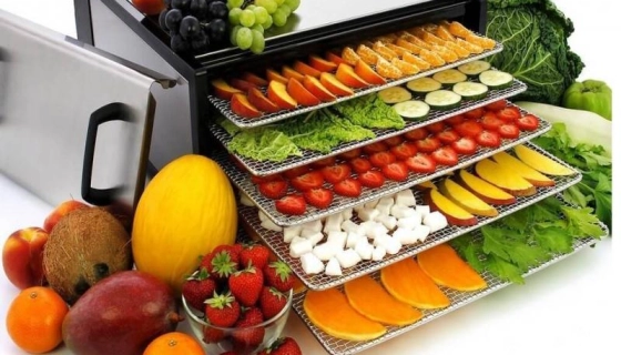 Как выбрать дегидратор для сушки фруктов и овощей