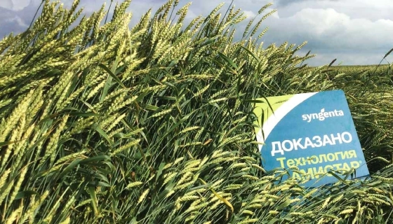 Фунгициды для картофеля