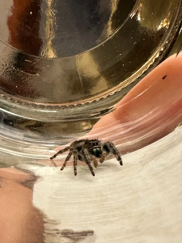 Bold jumper