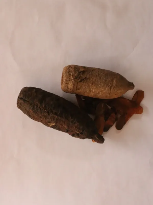 Cariniana ianeirensis