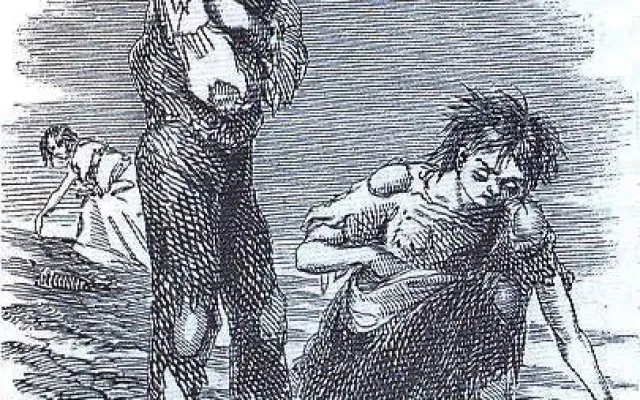 16 августа 1845 года: начало катастрофы картофельной болезни в Европе