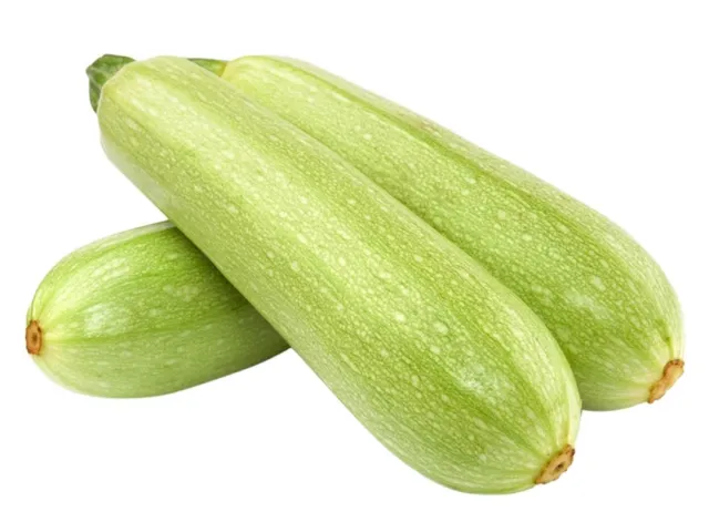 ВАЙТ МАРРОУ