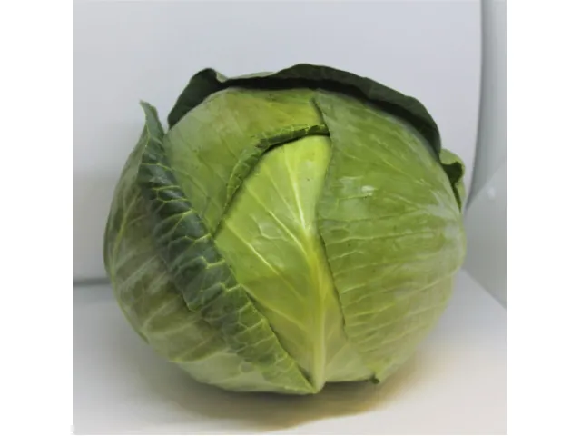 Mediouma