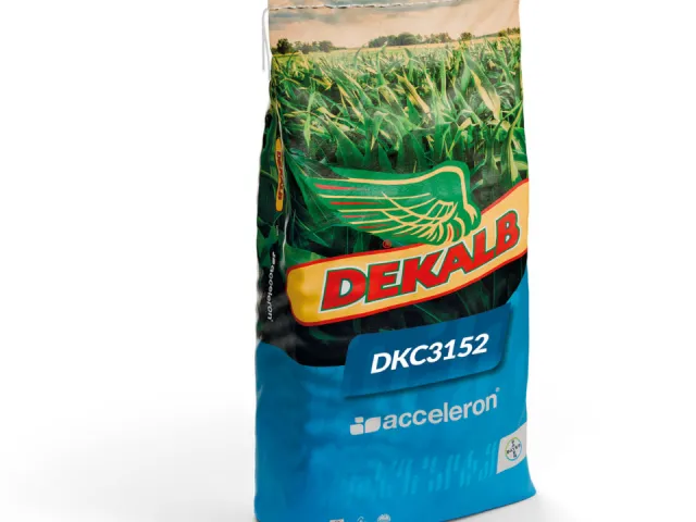 DKC3152