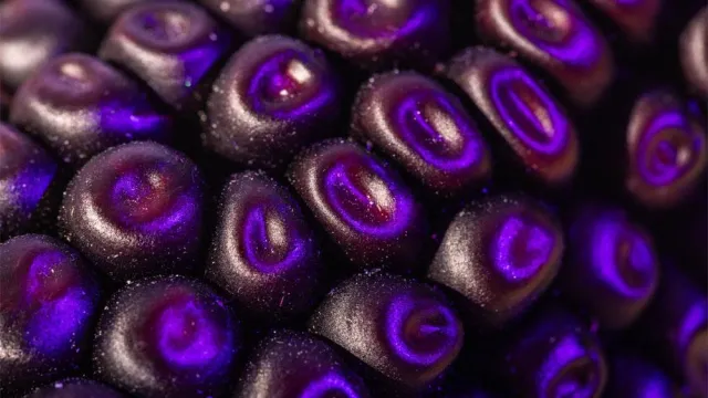 kukuruza-magnitudo