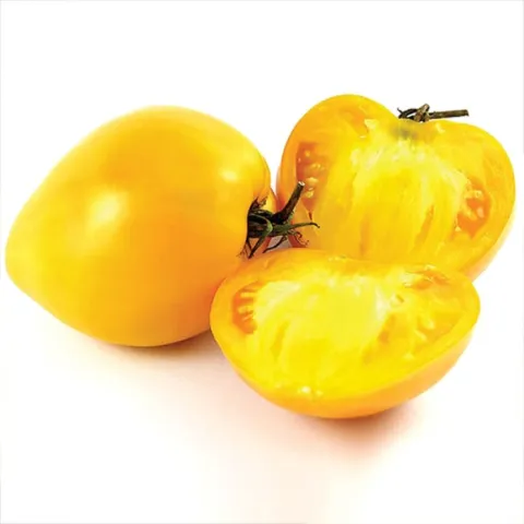 tomat-serpnevyi-podarunok