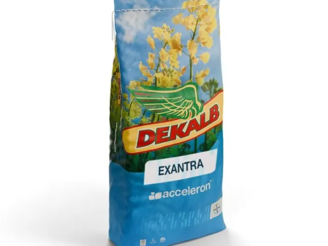 EXANTRA
