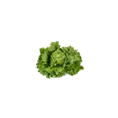 salat-feddenas