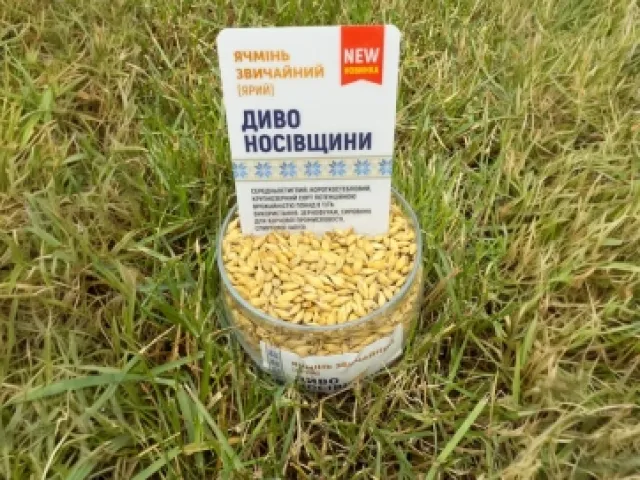 Obrii Nosivshchyny