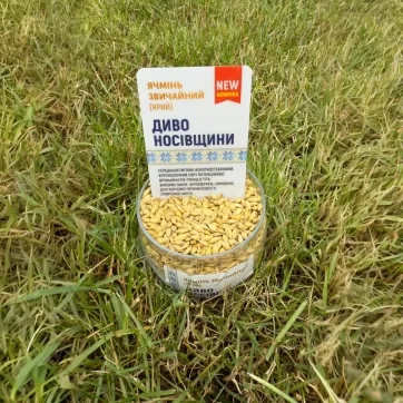 yachmen-obrii-nosivshchyny