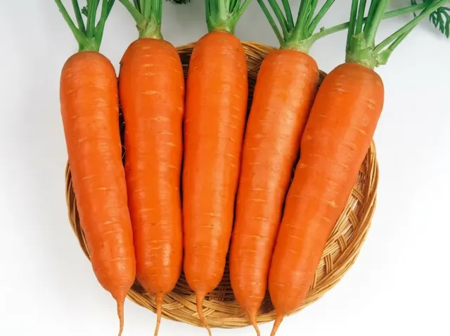 Fresh Victoria F1 carrots in a wicker basket