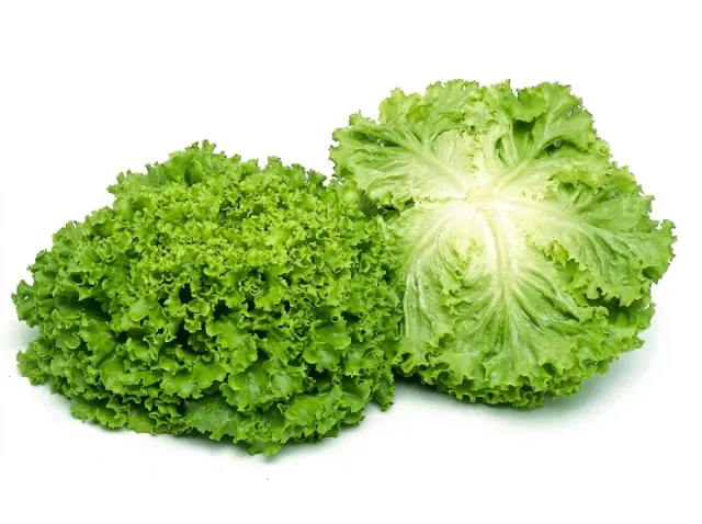 Funly F1 lettuce