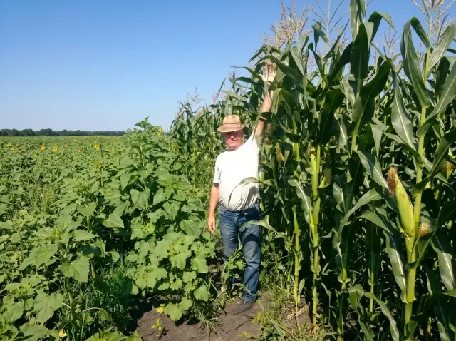 A man in a hat standing in a corn field with NS-205 corn