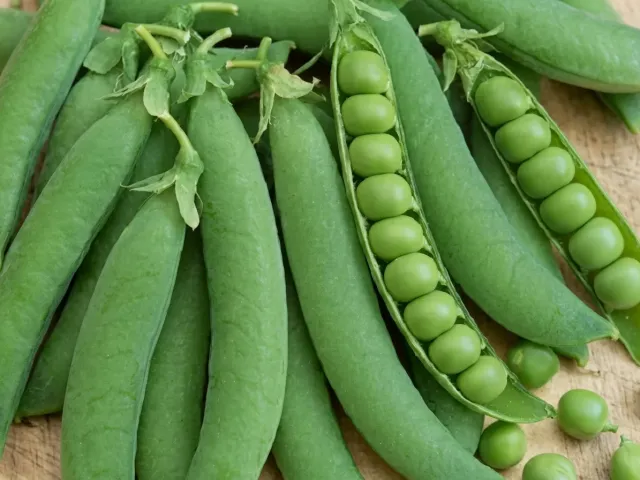 Оскар