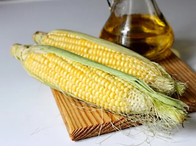 Ripe ears of Tronka F1 sweet corn on a wooden board