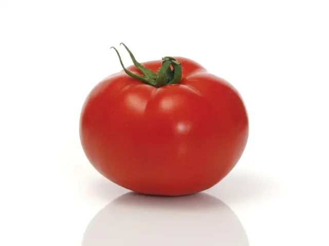 Ripe tomato fruit of Linda F1 variety
