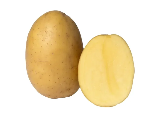 Беллаприма