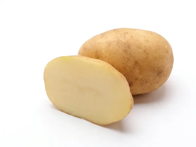 Евростарч