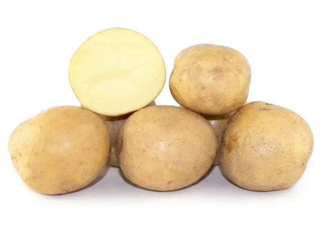 Skarbnitsya