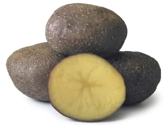 Kimeria potato tubers with dark skin and yellow flesh