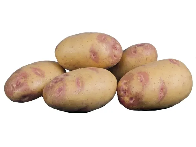 Пикассо