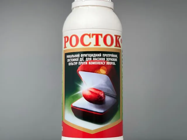 Rostok