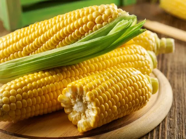 Yellow corn on a wooden board - Dobrinya F1