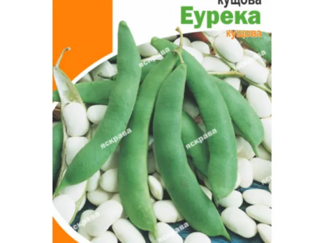 Эурека
