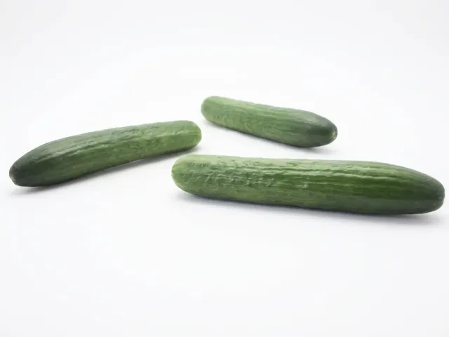 Гравина РЦ F1