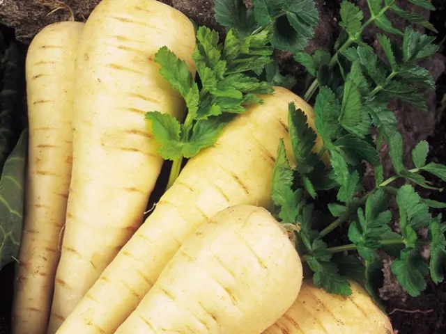 Борис