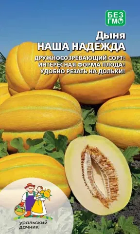 Seed packet of melon 'Our Hope' with image of yellow fruits