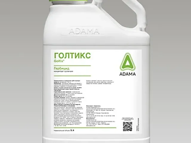 Голтикс КС