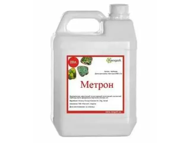 Метрон