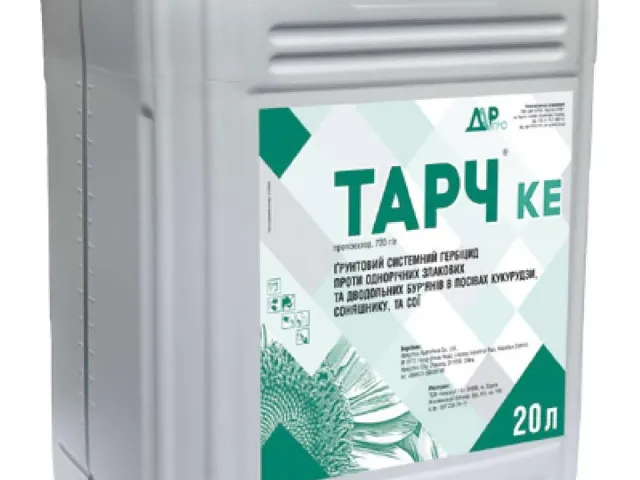 Тарч
