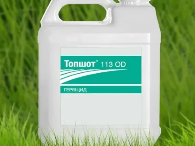 Топшот 113 ОD