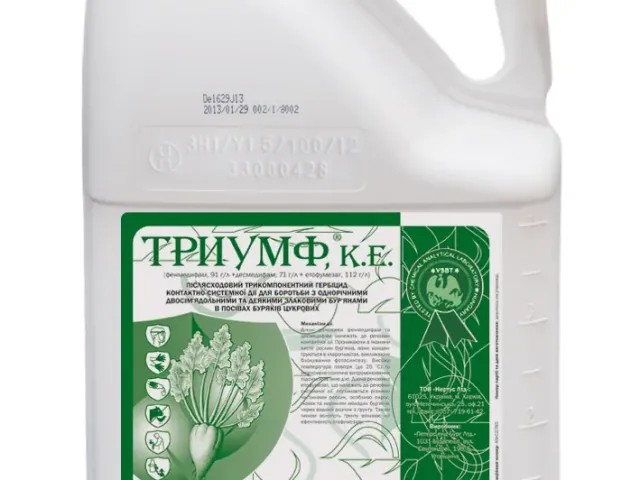 Триумф