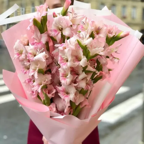Bouquet of pink gladiolus flowers wrapped in pink paper - Bride's Bouquet Gladiolus