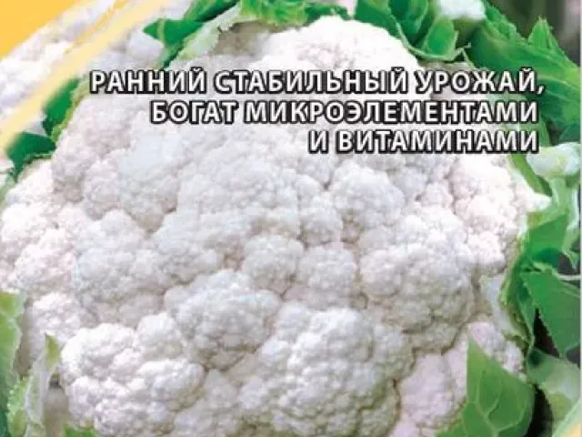 CHICKEN MILK