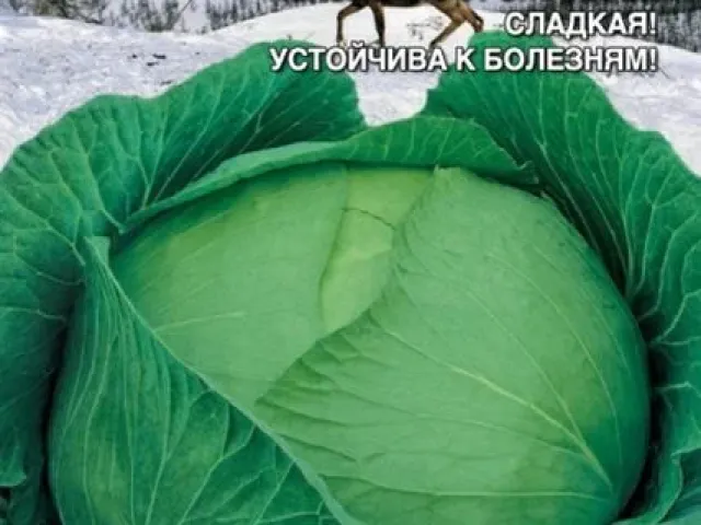 Северянка