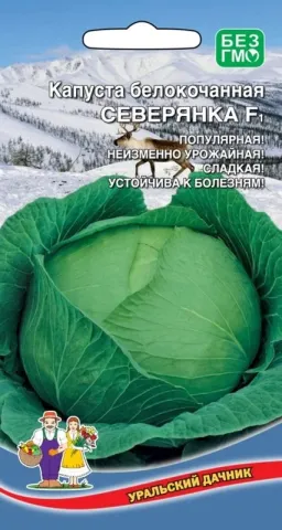 Пакет насіння капусти Северянка