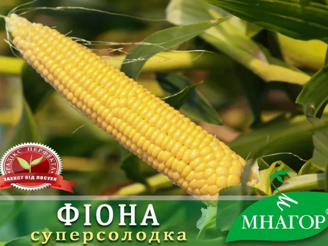 Филу