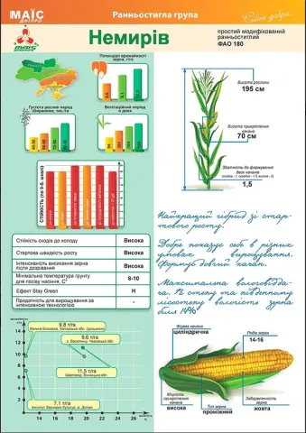 Information sheet with characteristics of the Nemiriv corn hybrid