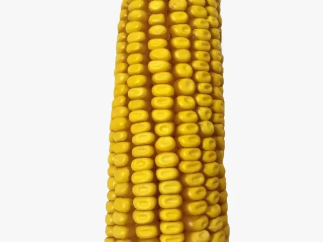 РАМ 0133