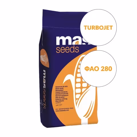 Упаковка семян кукурузы ТУРБОДЖЕТ (Turbojet) от Mas Seeds