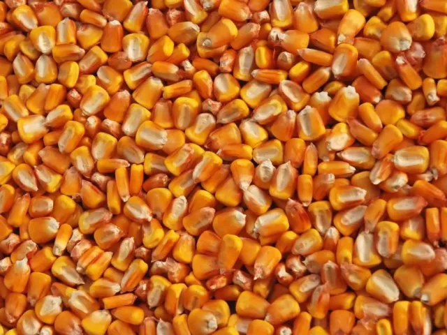 Харькивский 311 МВ