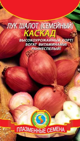 Насіння цибулі сорту Каскад на червоному фоні