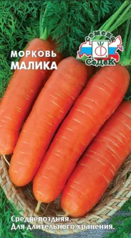 Насіння моркви сорту Малика на упаковці - Маліка