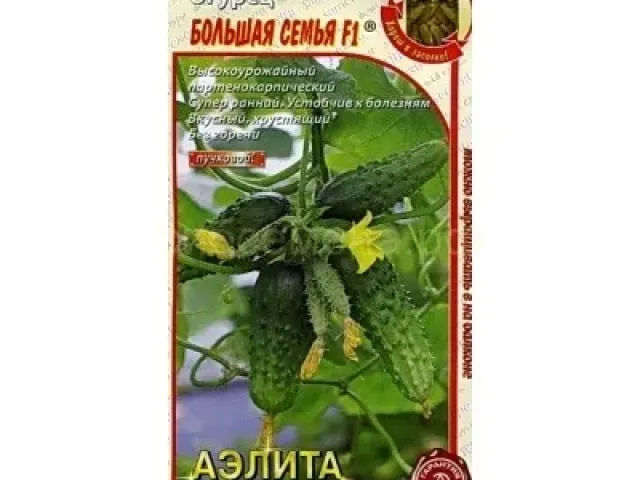 Большая Семья